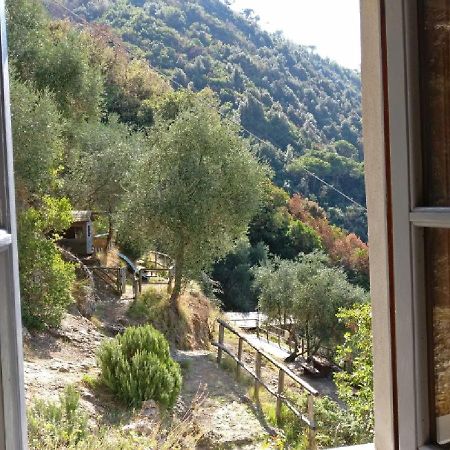 Villa Agririfugio Molini Camogli Esterno foto
