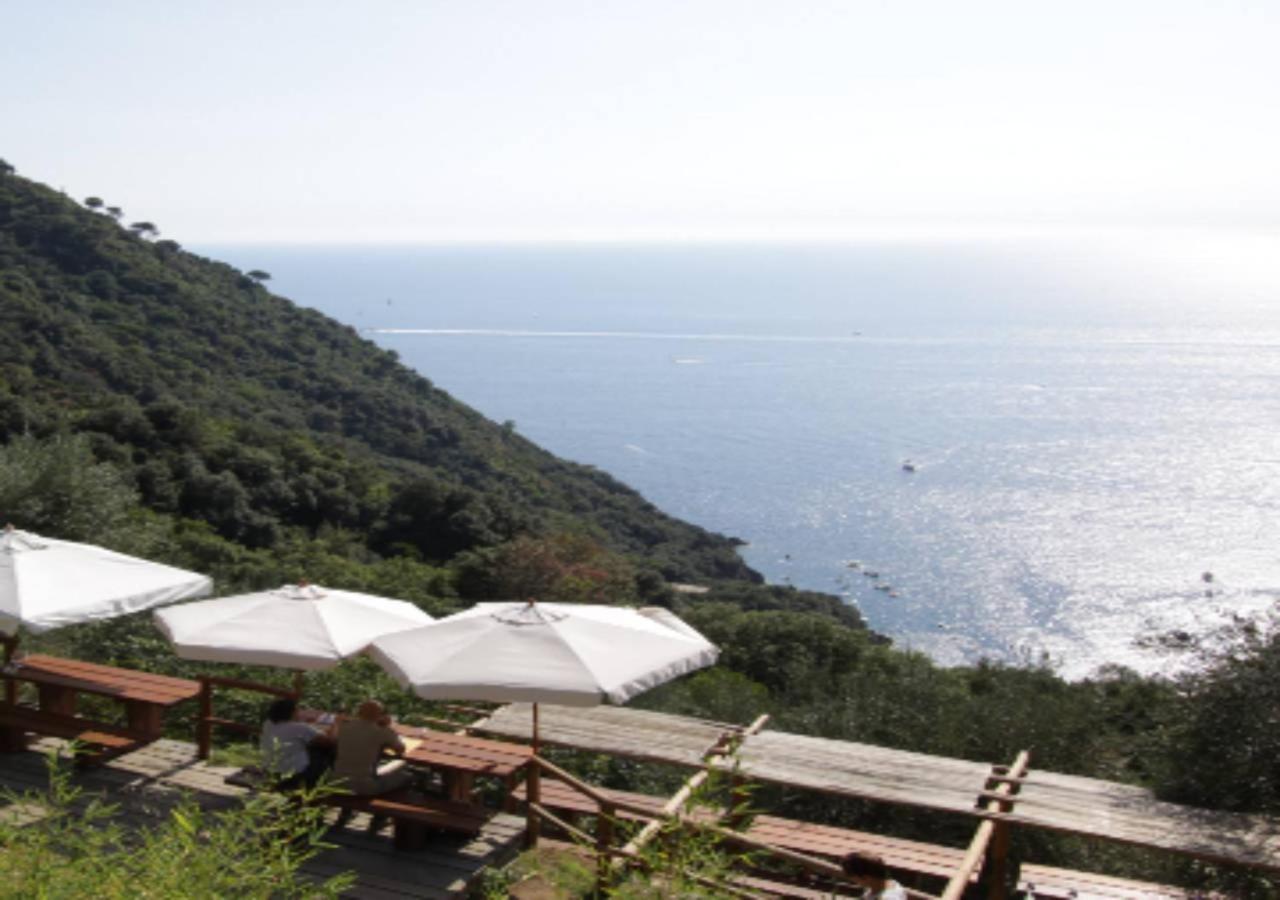 Villa Agririfugio Molini Camogli Esterno foto
