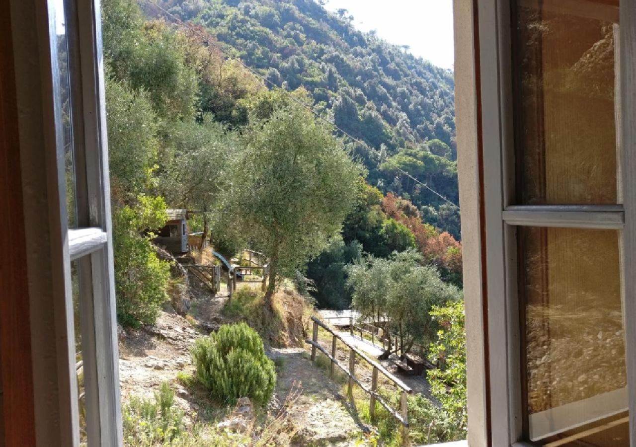 Villa Agririfugio Molini Camogli Esterno foto