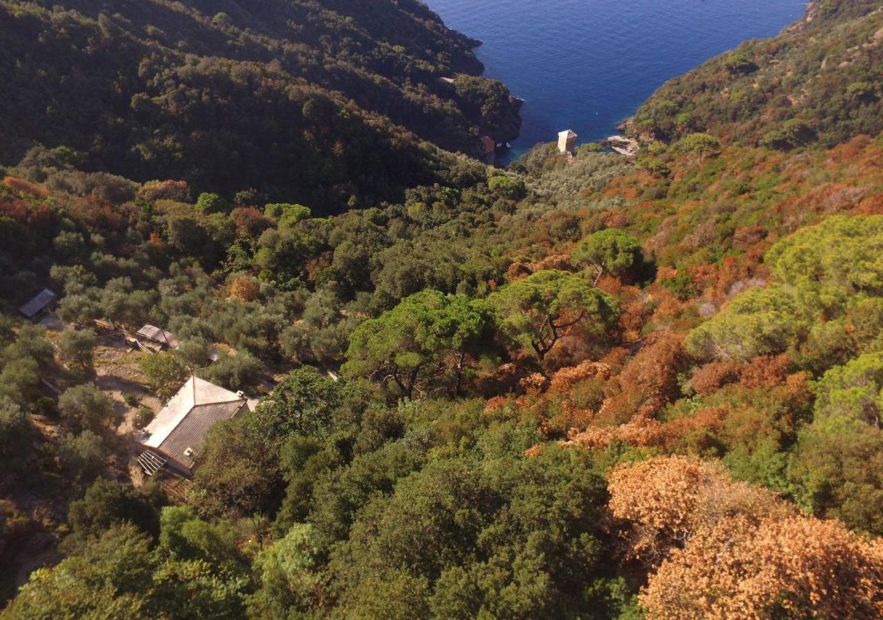 Villa Agririfugio Molini Camogli Esterno foto