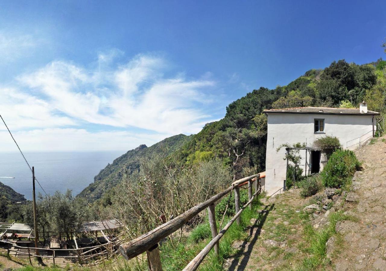 Villa Agririfugio Molini Camogli Esterno foto